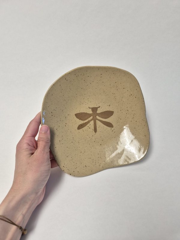 Ceramic plate with dragonfly